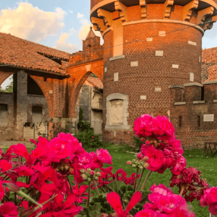 Screenshot 2024-12-11 alle 16.49.04