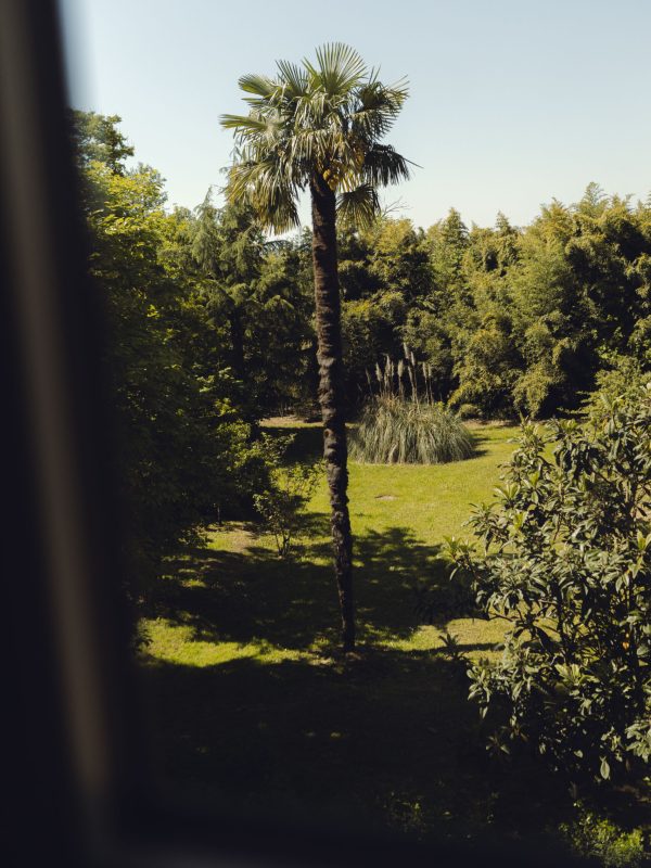 _O9A6766 (1)